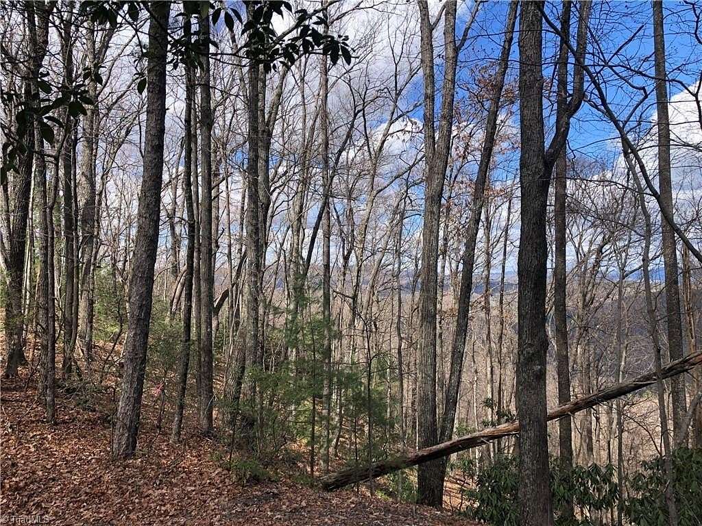 2 Acres of Residential Land for Sale in Purlear, North Carolina
