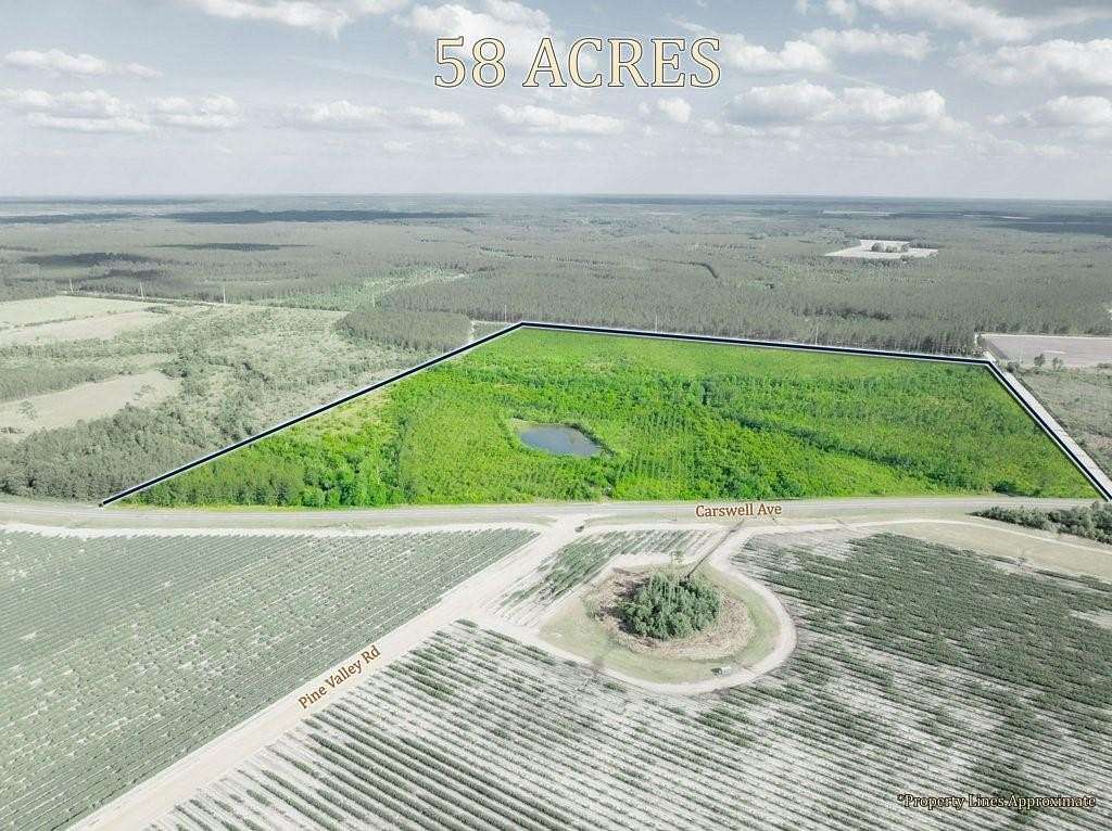 58.3 Acres of Recreational & Residential Land for Sale in Waycross, Georgia