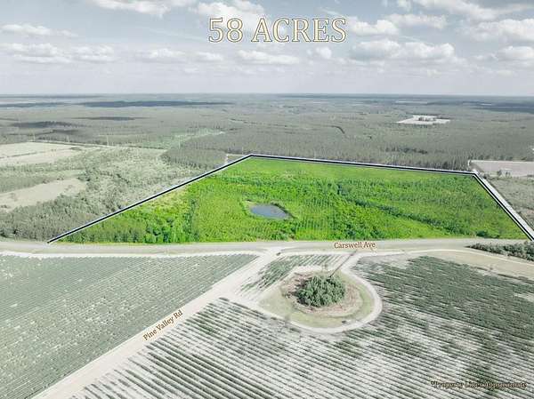 58.3 Acres of Recreational & Residential Land for Sale in Waycross, Georgia