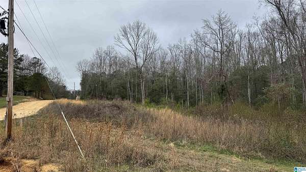 3.7 Acres of Residential Land for Sale in Maplesville, Alabama