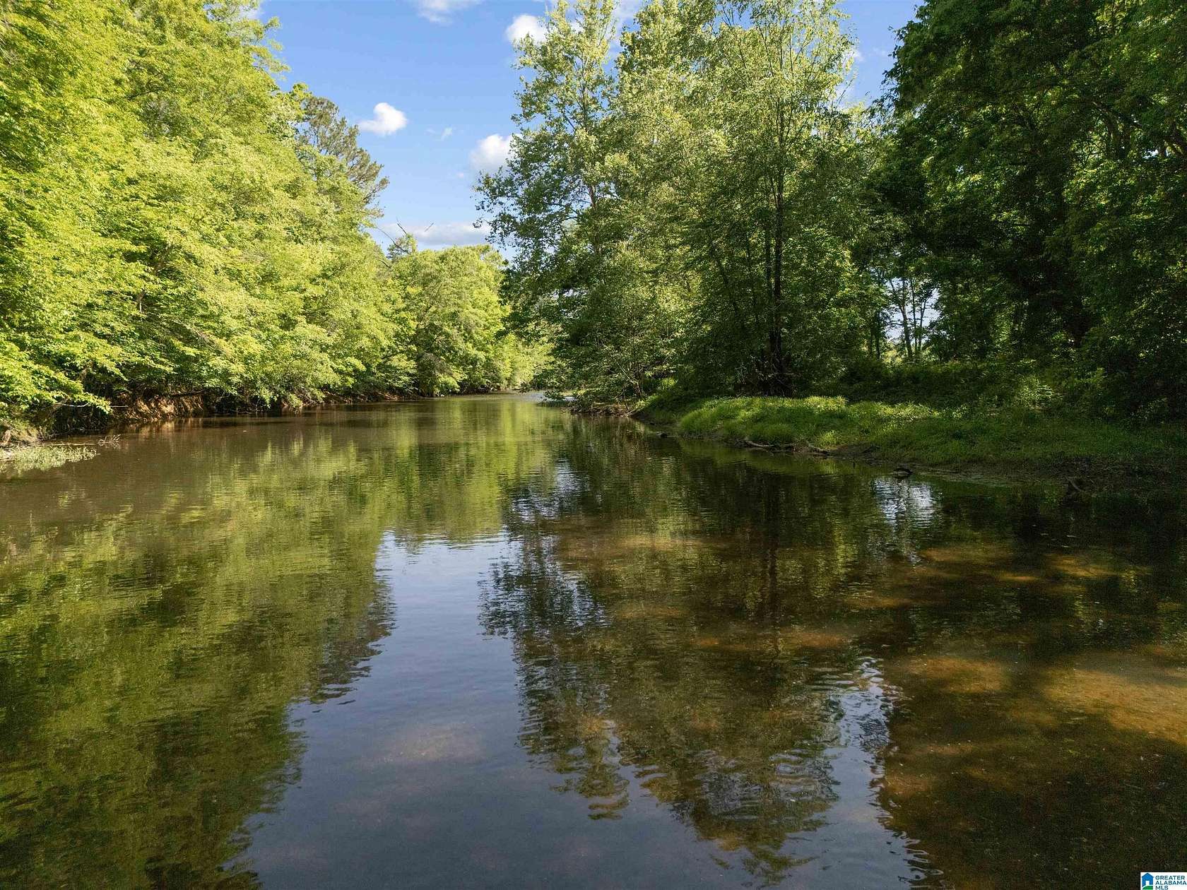 13 Acres of Recreational & Residential Land for Sale in Piedmont, Alabama