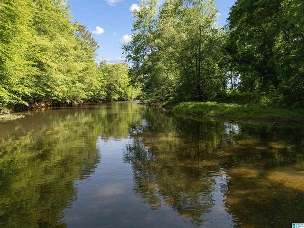 13 Acres of Recreational & Residential Land for Sale in Piedmont, Alabama