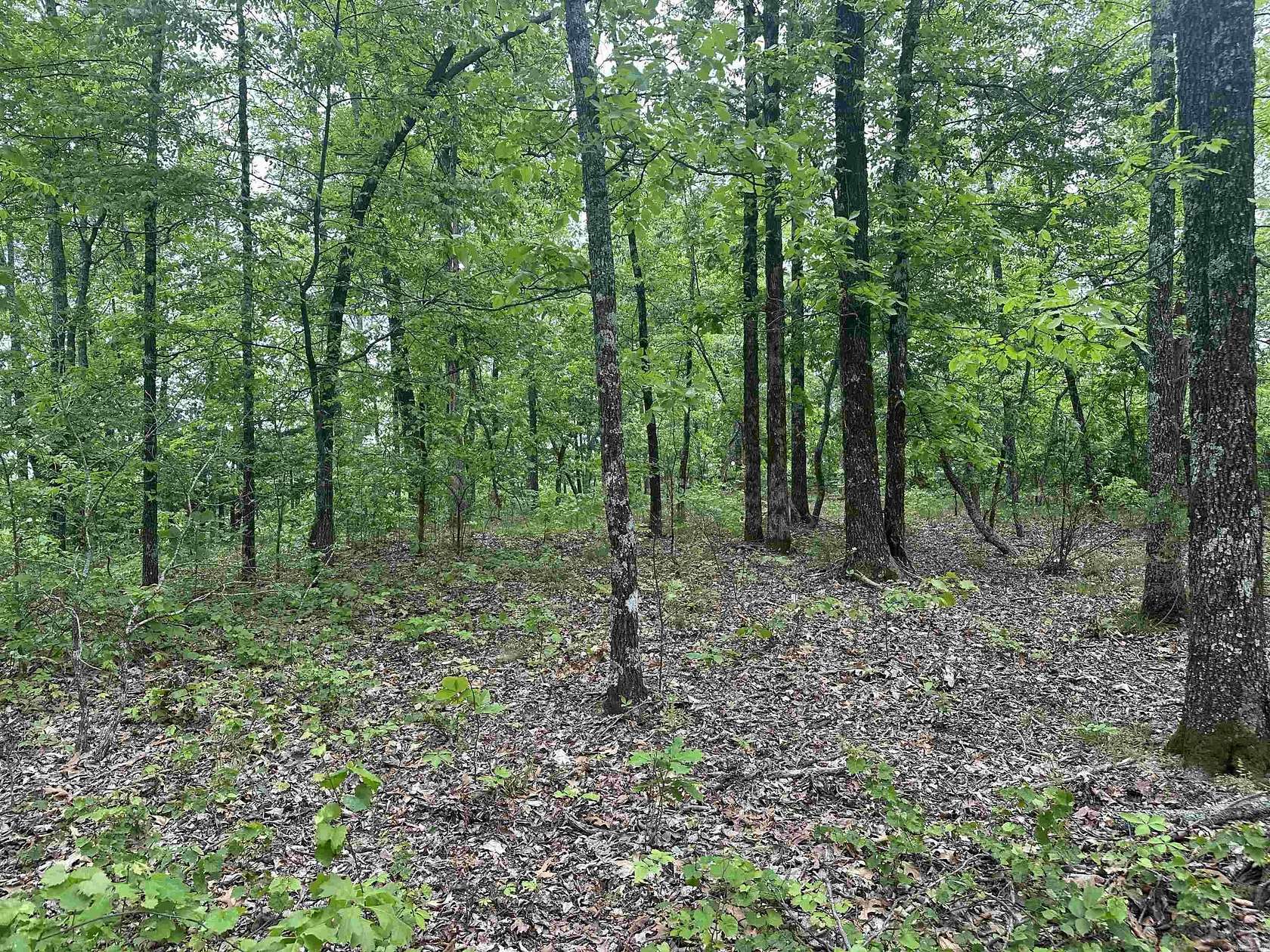 3 Acres of Residential Land for Sale in Clinton, Arkansas