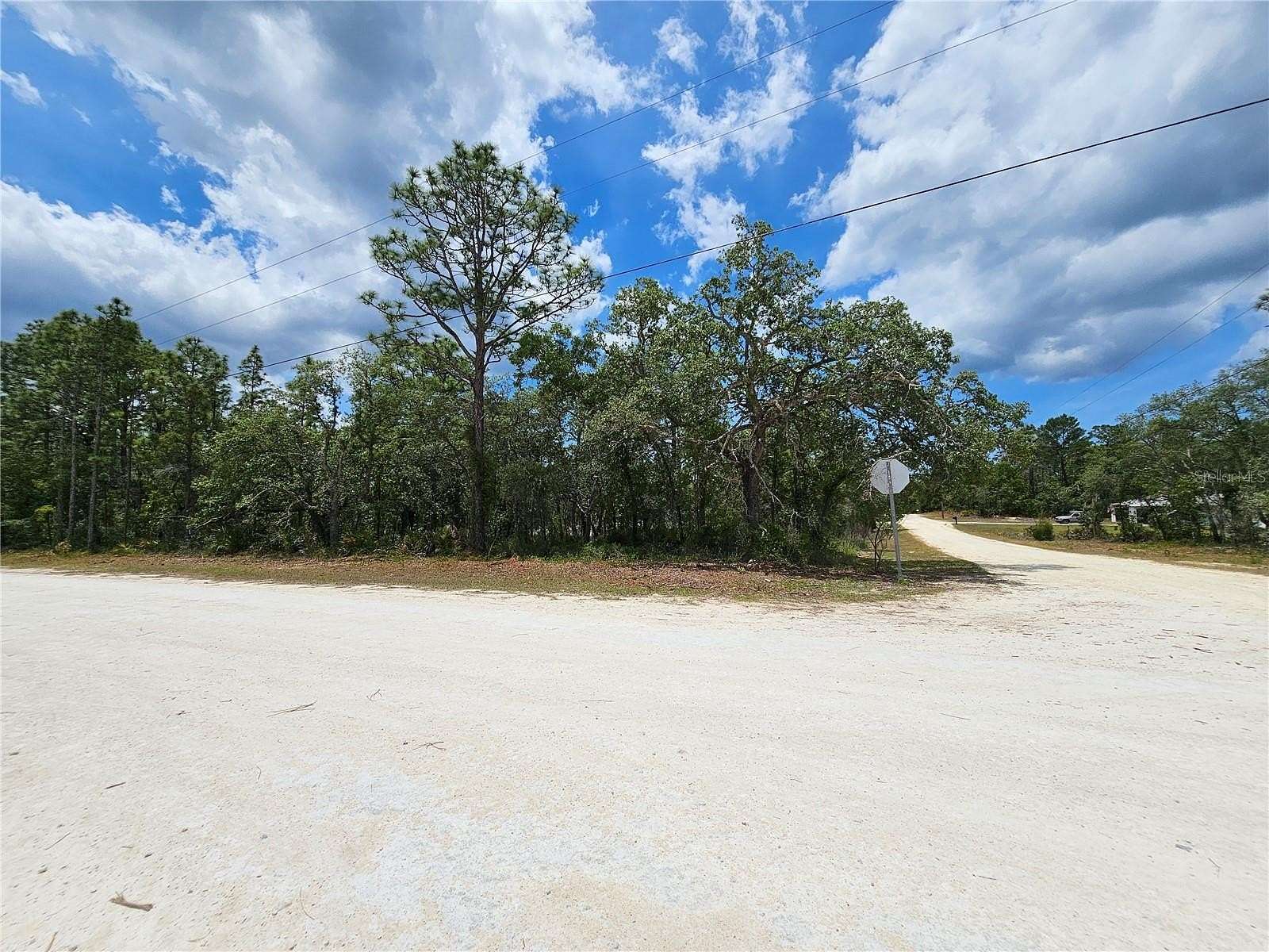 1 Acre of Residential Land for Sale in Weeki Wachee, Florida