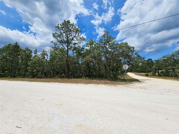 1 Acre of Residential Land for Sale in Weeki Wachee, Florida
