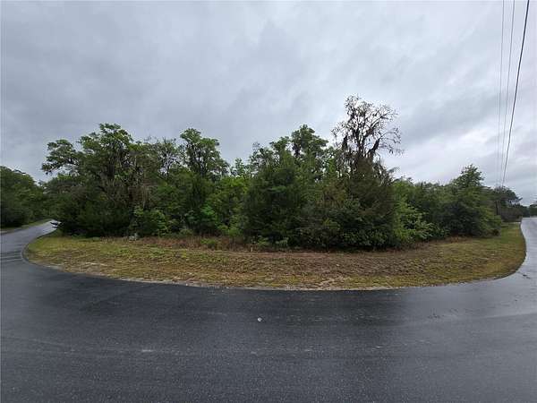 5 Acres of Agricultural Land for Sale in Dunnellon, Florida
