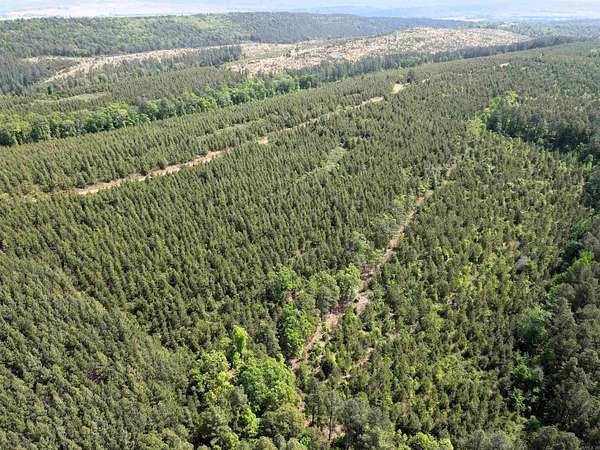 40 Acres of Recreational Land for Sale in Bigelow, Arkansas