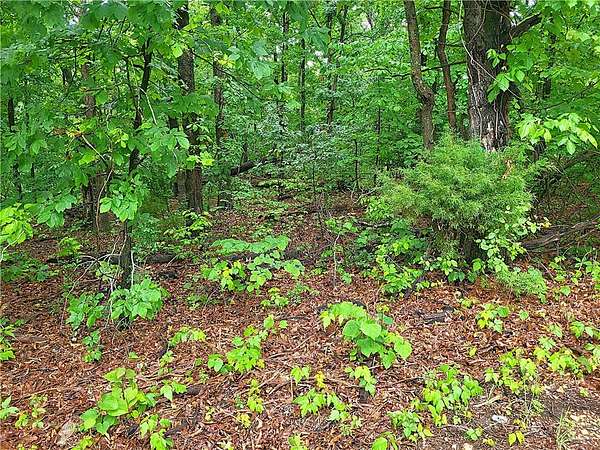 0.25 Acres of Land for Sale in Bella Vista, Arkansas