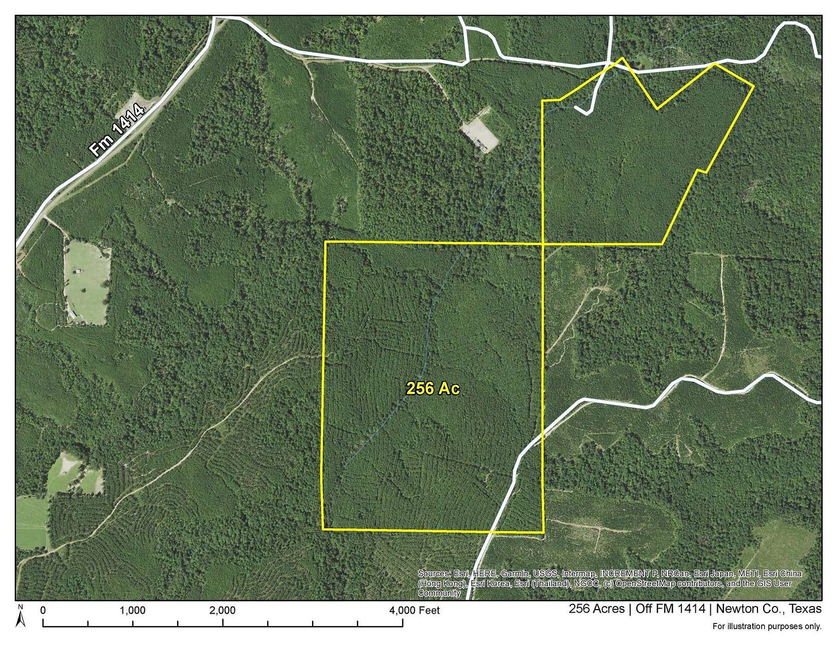 256 Acres of Recreational Land for Sale in Burkeville, Texas