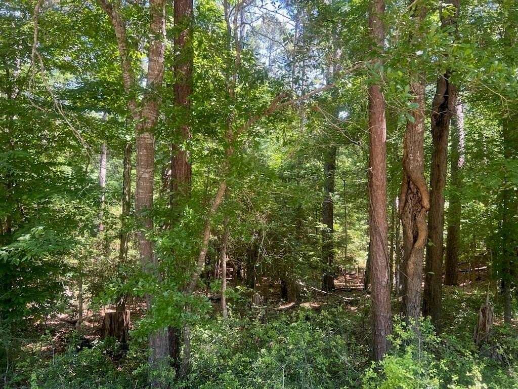0.5 Acres of Residential Land for Sale in Etoile, Texas