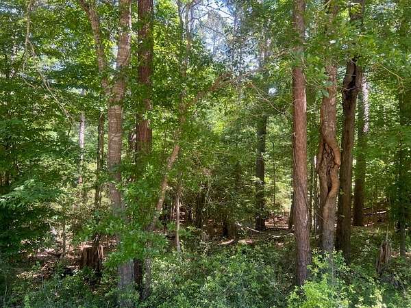 0.5 Acres of Residential Land for Sale in Etoile, Texas