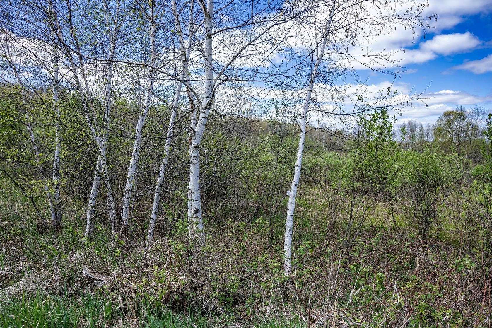 70 Acres of Recreational & Residential Land for Sale in Necedah, Wisconsin