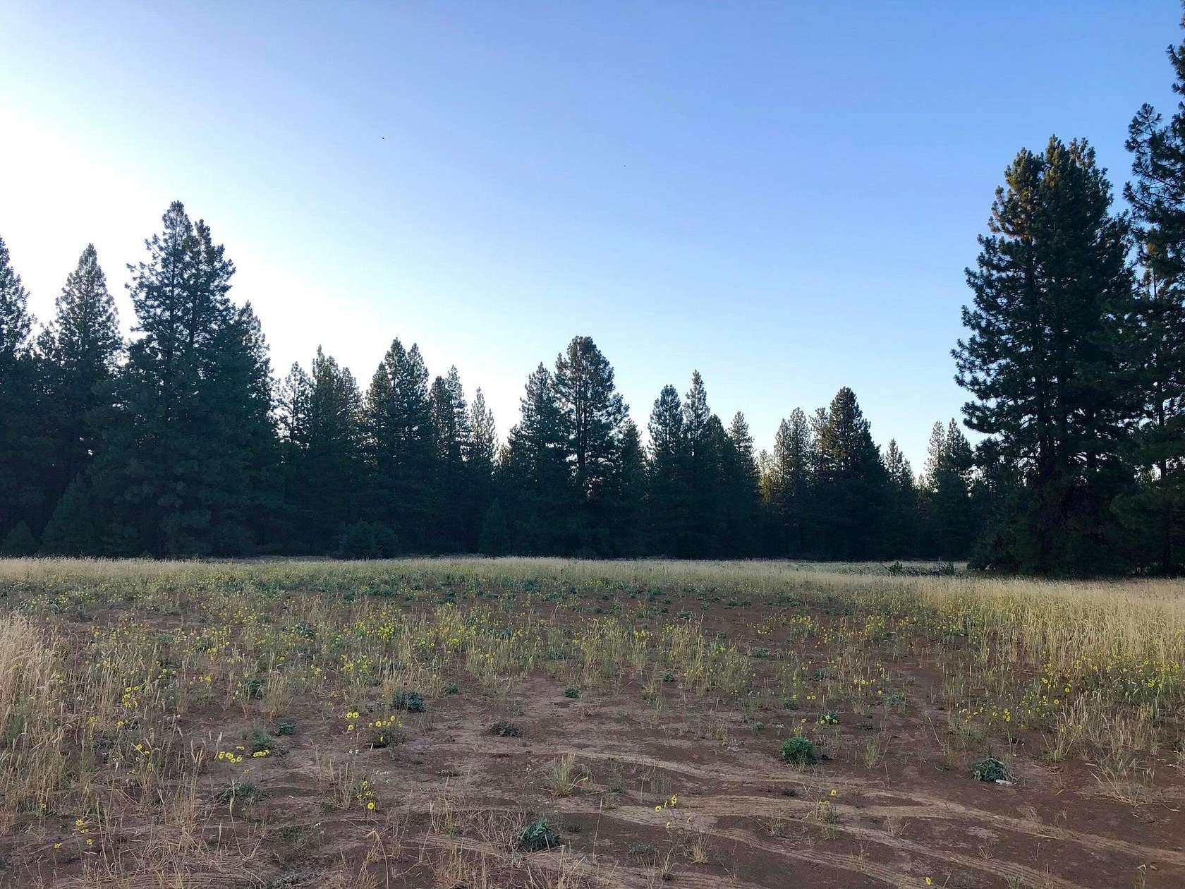 74.7 Acres of Recreational Land for Sale in Burney, California