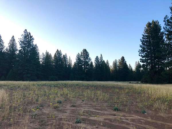 74.7 Acres of Recreational Land for Sale in Burney, California