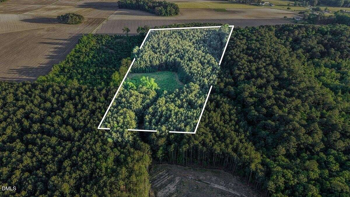 17.5 Acres of Land for Sale in Princeton, North Carolina