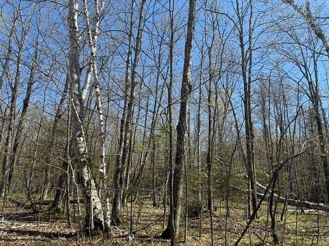 5 Acres of Land for Sale in Ellison Bay, Wisconsin