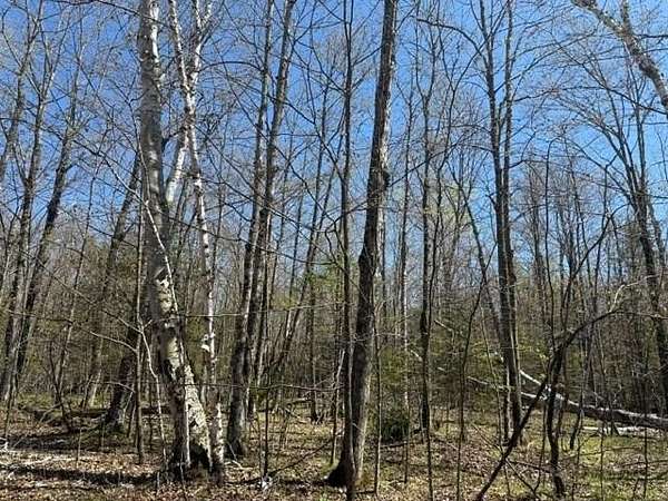 5 Acres of Land for Sale in Ellison Bay, Wisconsin