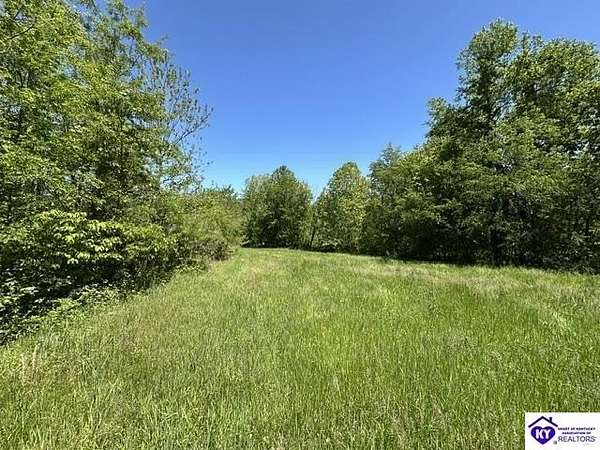 22 Acres of Recreational & Residential Land for Sale in Webster, Kentucky