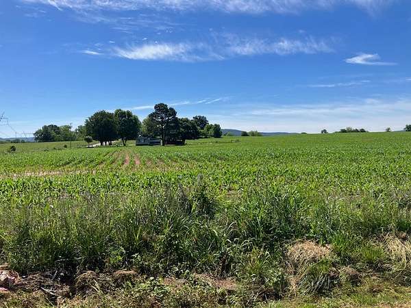 5.36 Acres of Land for Sale in Hillsboro, Tennessee
