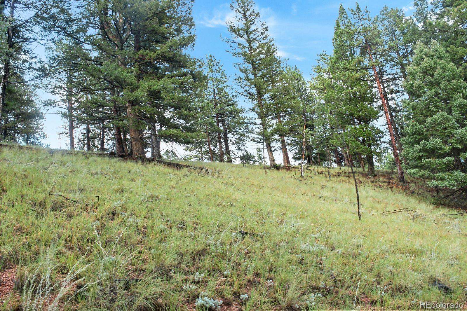 2.8 Acres of Residential Land for Sale in Divide, Colorado