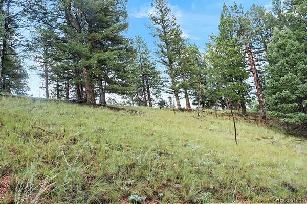 2.8 Acres of Residential Land for Sale in Divide, Colorado