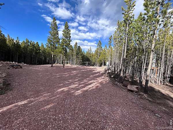 1.38 Acres of Residential Land for Sale in Red Feather Lakes, Colorado