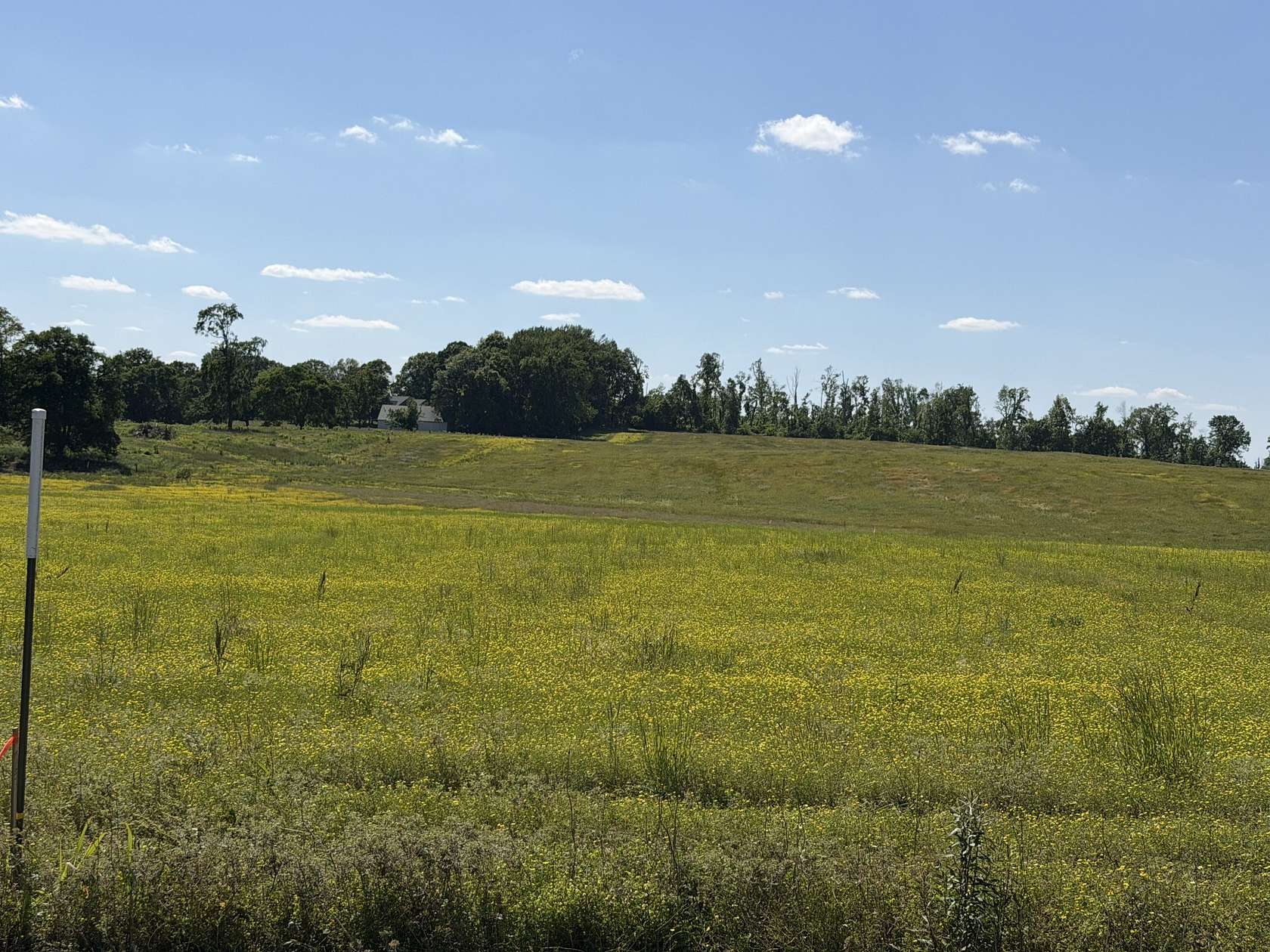 5 Acres of Agricultural Land for Sale in Springfield, Tennessee