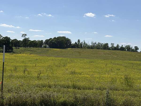5 Acres of Agricultural Land for Sale in Springfield, Tennessee