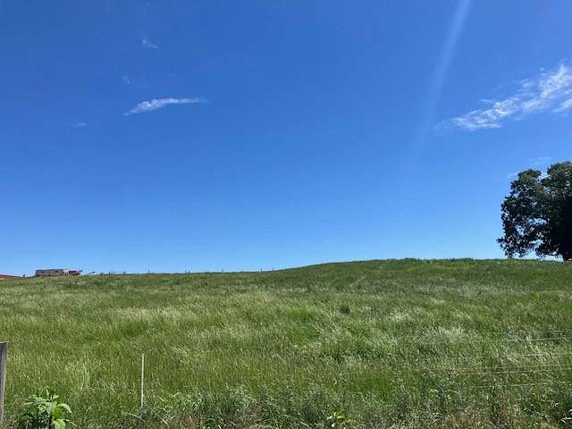 5 Acres of Residential Land for Sale in Hillsboro, Tennessee