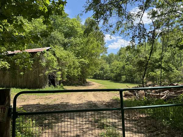 71.6 Acres of Recreational & Residential Land for Sale in Indian Mound, Tennessee
