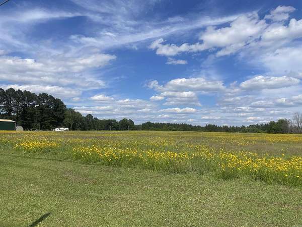 36.1 Acres of Agricultural & Residential Land for Sale in Prattsville, Arkansas