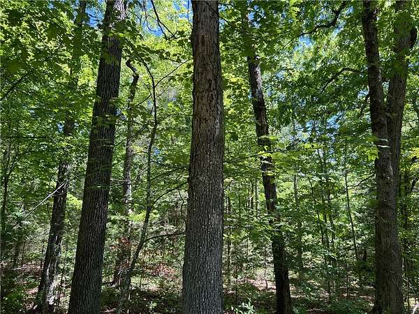 6.3 Acres of Land for Sale in Harrison, Arkansas