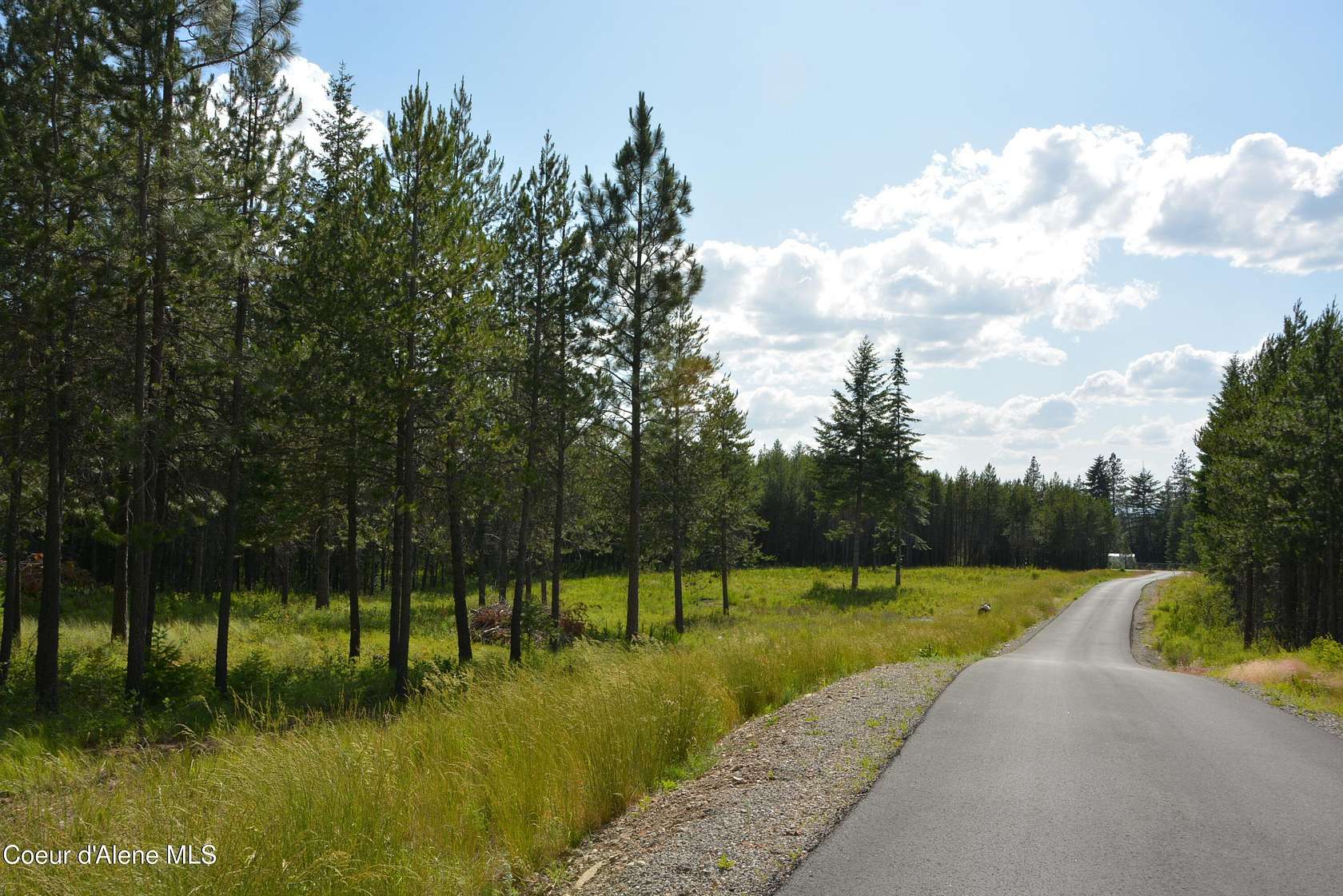 4.8 Acres of Residential Land for Sale in Athol, Idaho