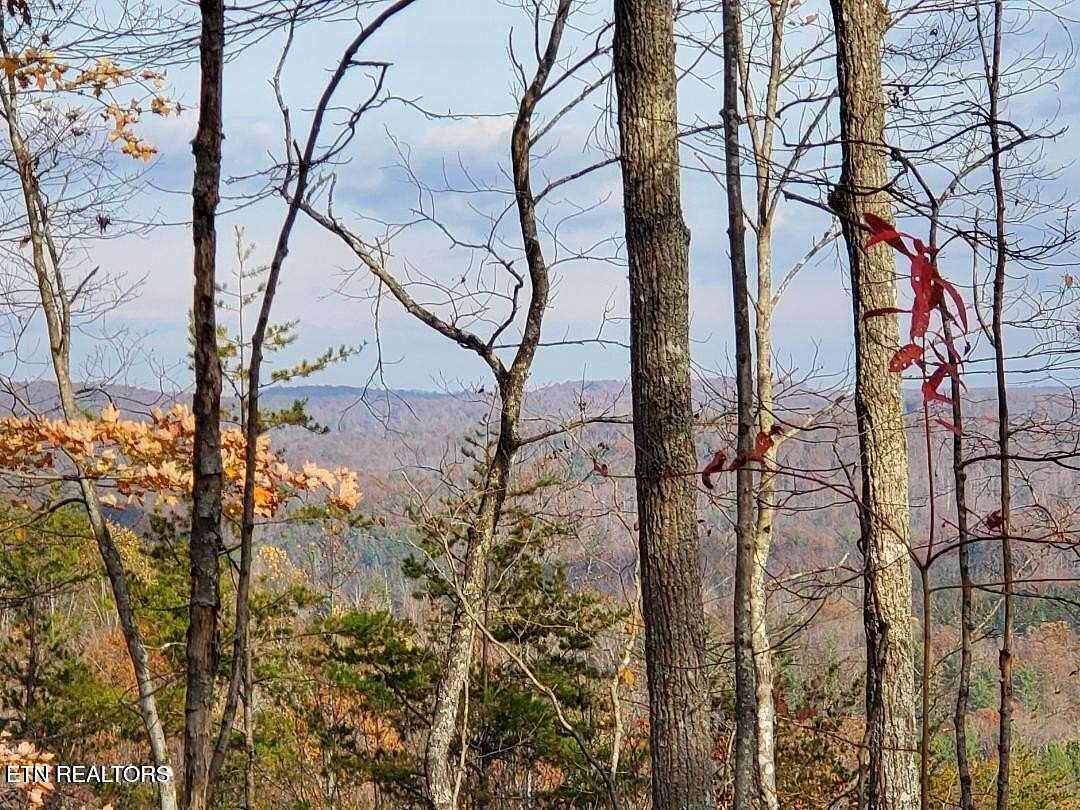 9.7 Acres of Land for Sale in Huntsville, Tennessee