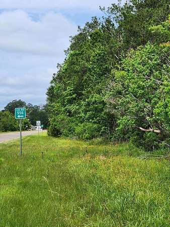 38.5 Acres of Recreational & Residential Land for Sale in Kirbyville, Texas