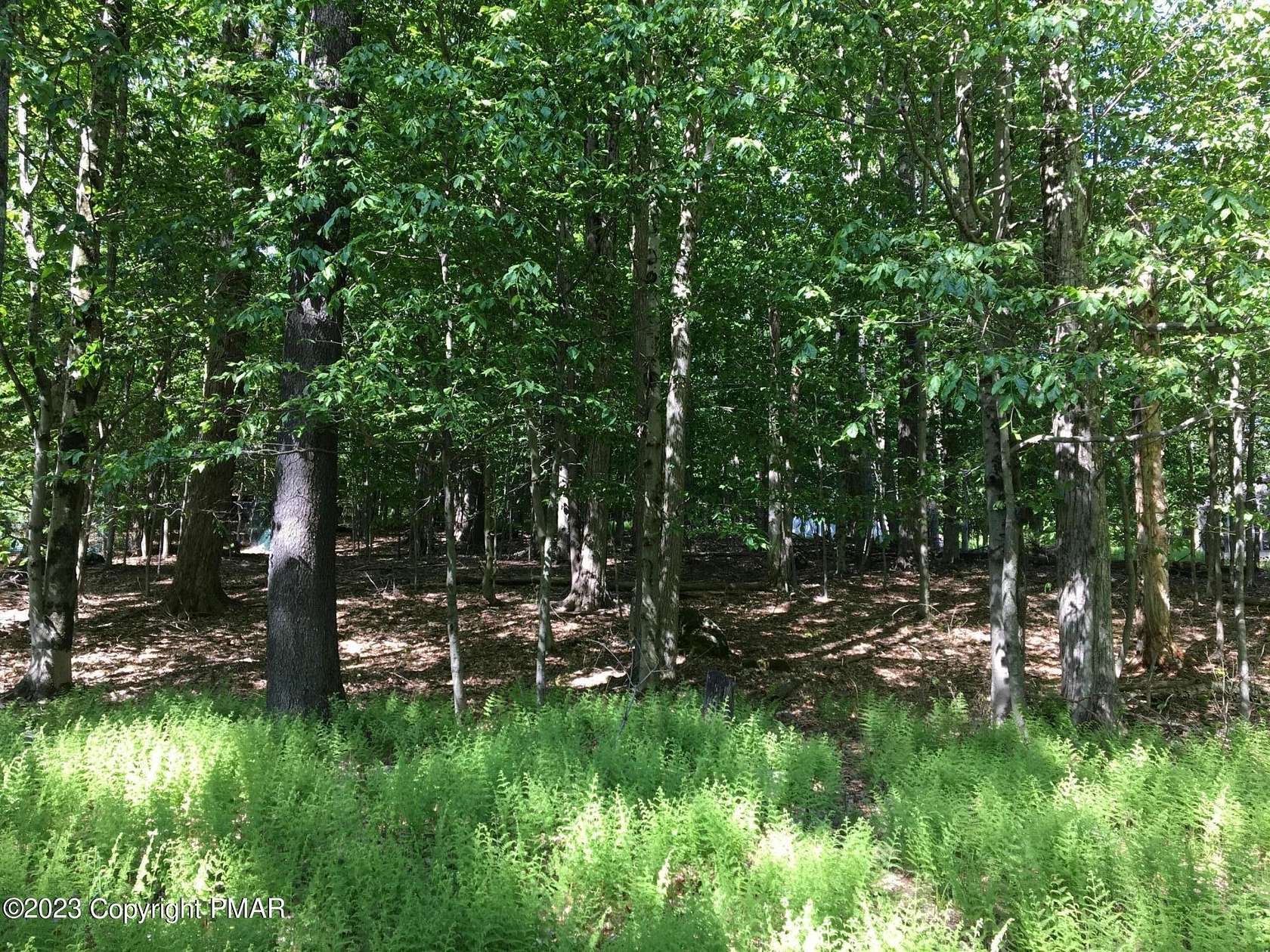 0.48 Acres of Residential Land for Sale in Pocono Lake, Pennsylvania