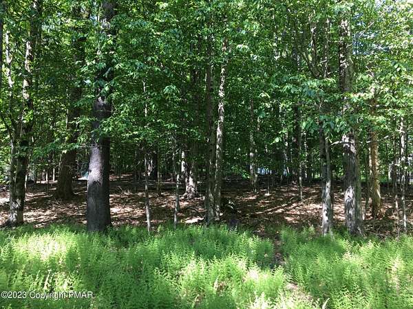 0.48 Acres of Residential Land for Sale in Pocono Lake, Pennsylvania