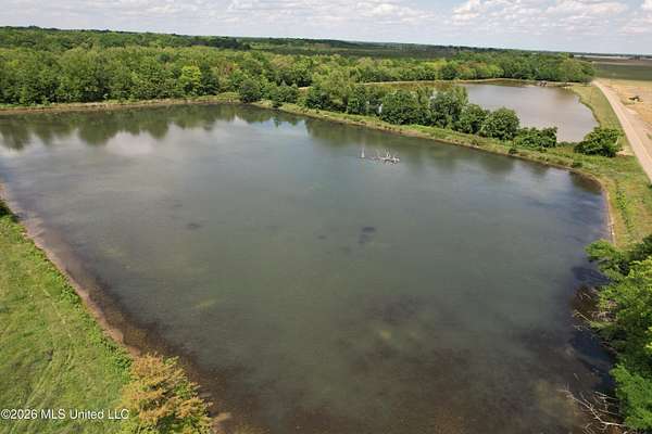 145 Acres of Recreational Land for Sale in Alligator, Mississippi