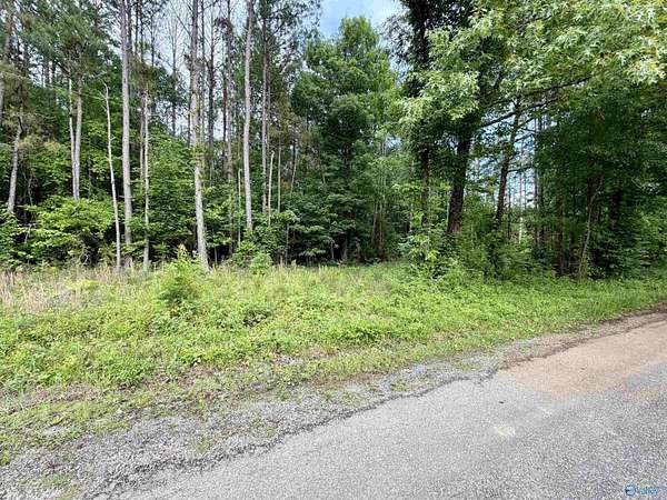 3.9 Acres of Residential Land for Sale in Leesburg, Alabama