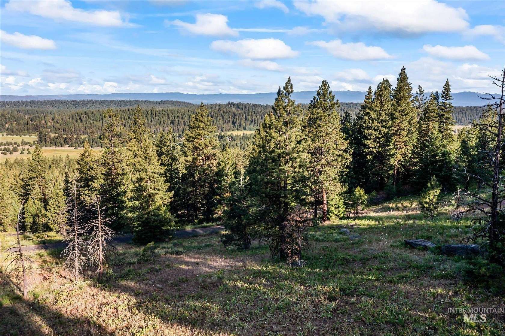 2 Acres of Residential Land for Sale in McCall, Idaho