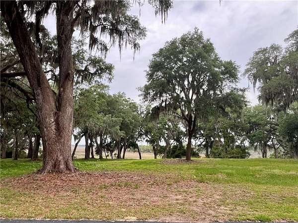 0.85 Acres of Residential Land for Sale in Townsend, Georgia