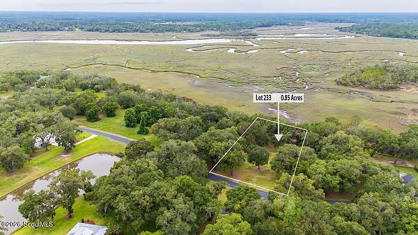 0.85 Acres of Residential Land for Sale in Townsend, Georgia