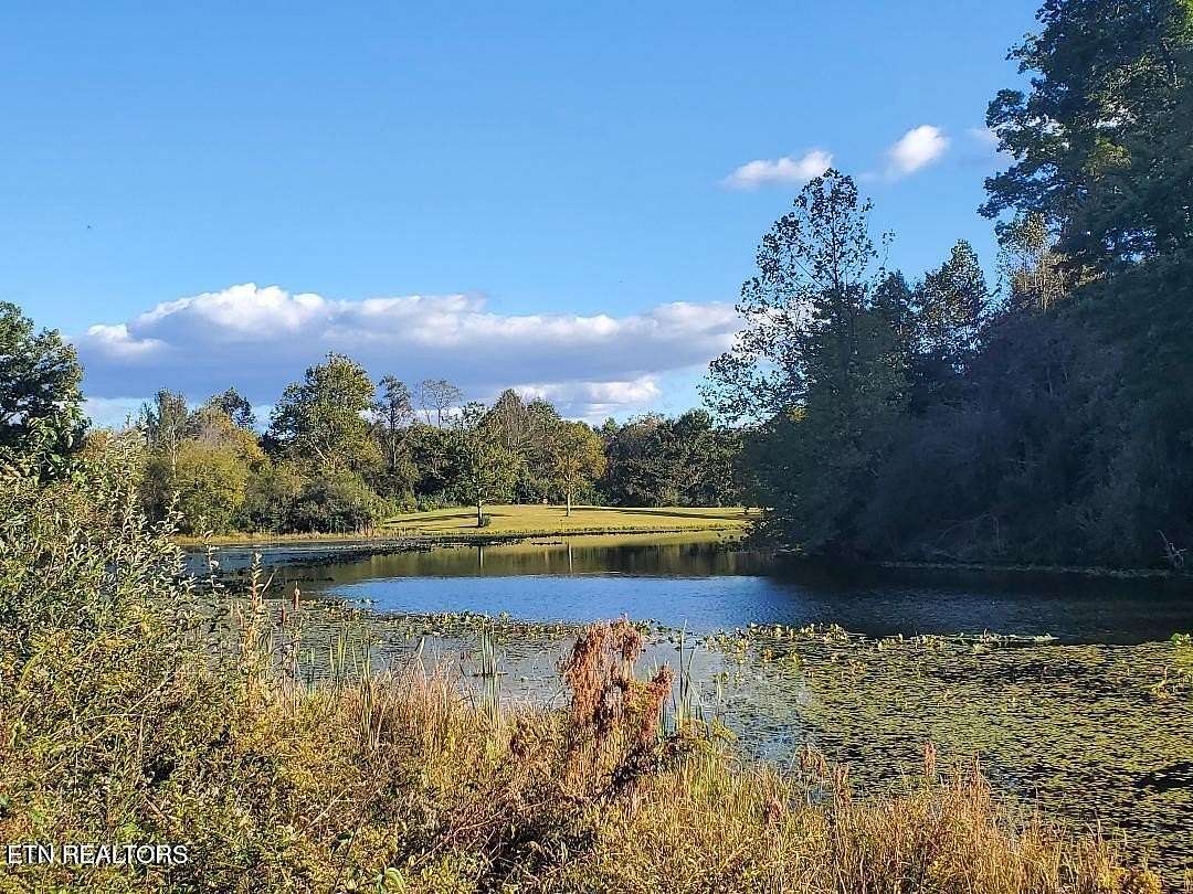 10.2 Acres of Land for Sale in Helenwood, Tennessee