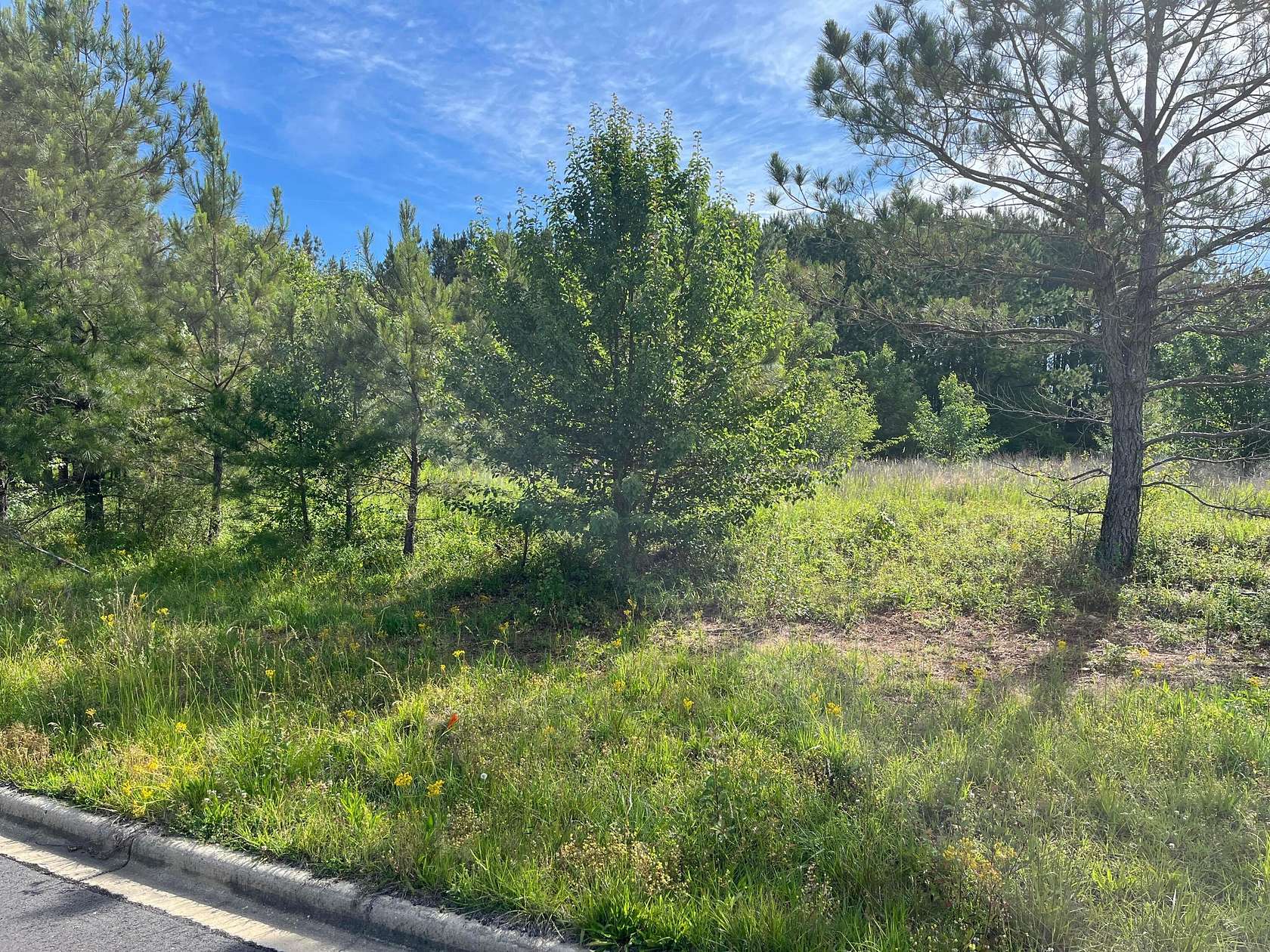 0.8 Acres of Land for Sale in Jasper, Alabama