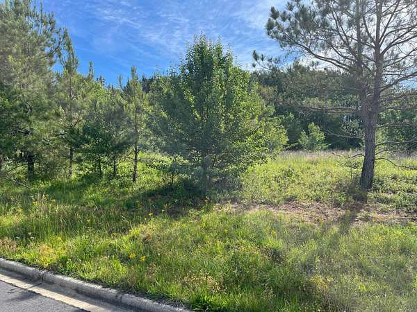 0.8 Acres of Land for Sale in Jasper, Alabama