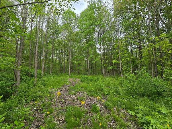 3.38 Acres of Land for Sale in Milan, Indiana