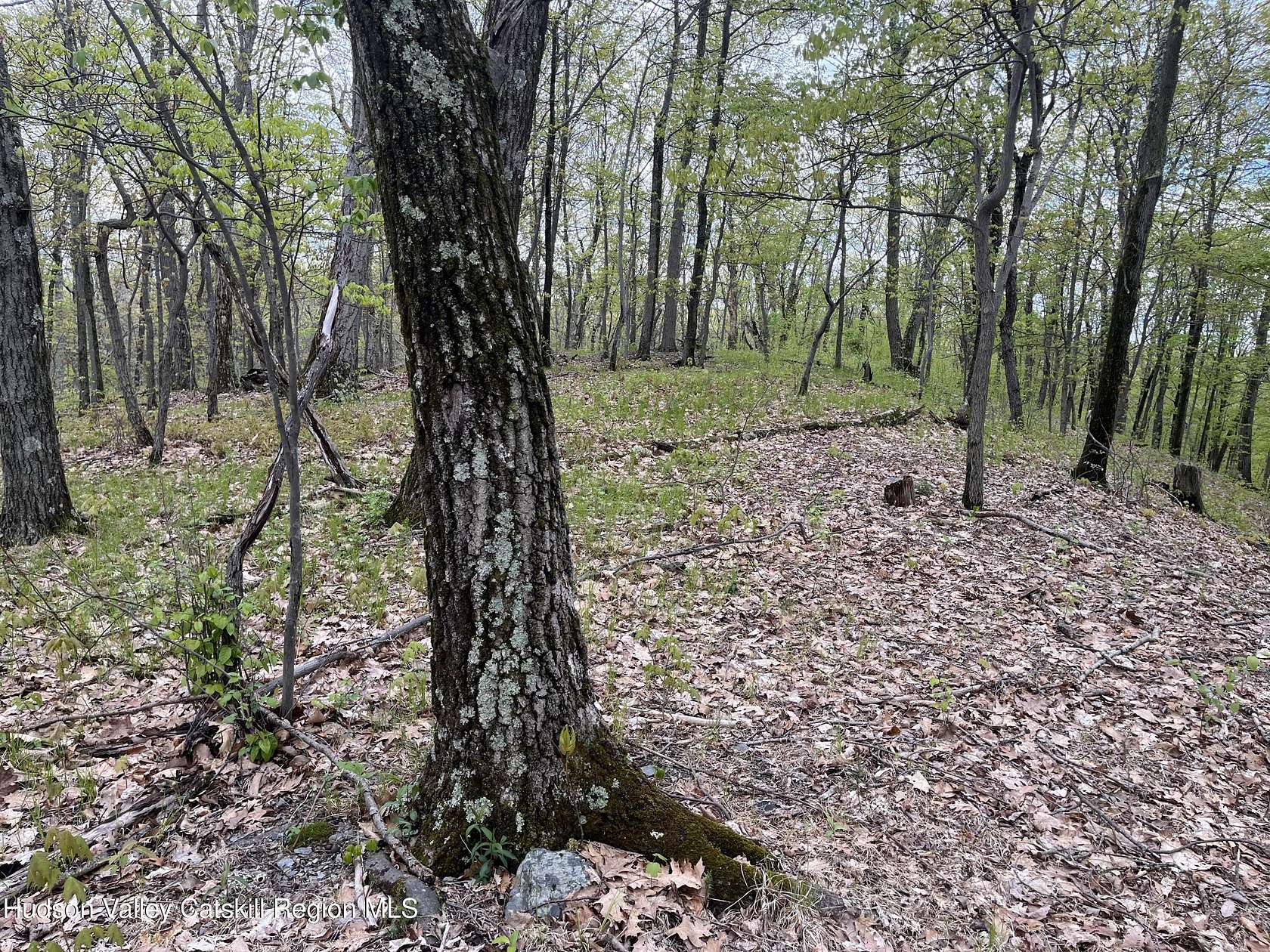 13.7 Acres of Land for Sale in Milan, New York