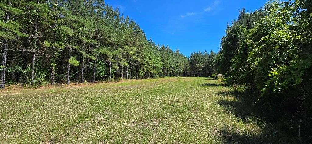 19.8 Acres of Land for Sale in Cottonwood, Alabama