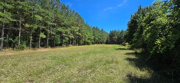 19.8 Acres of Land for Sale in Cottonwood, Alabama