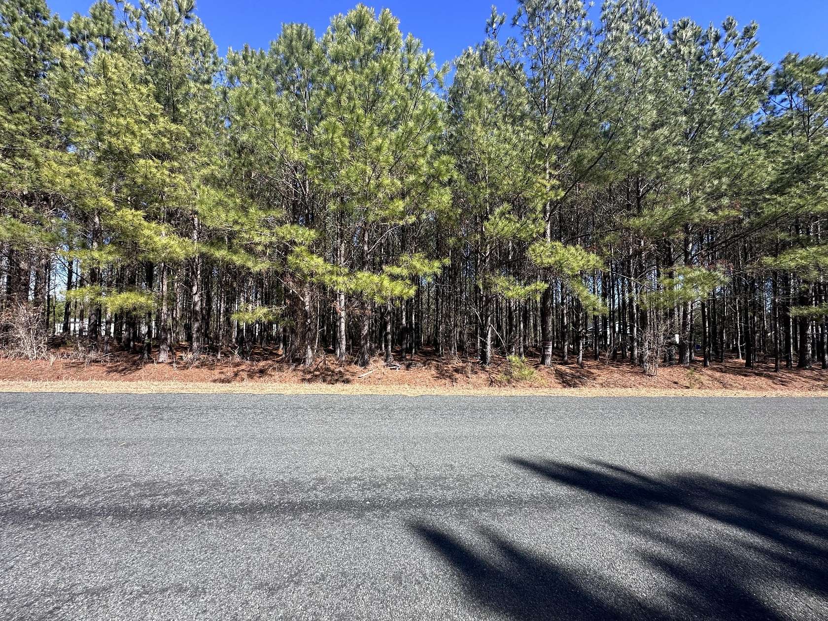 2.8 Acres of Residential Land for Sale in Swansea, South Carolina